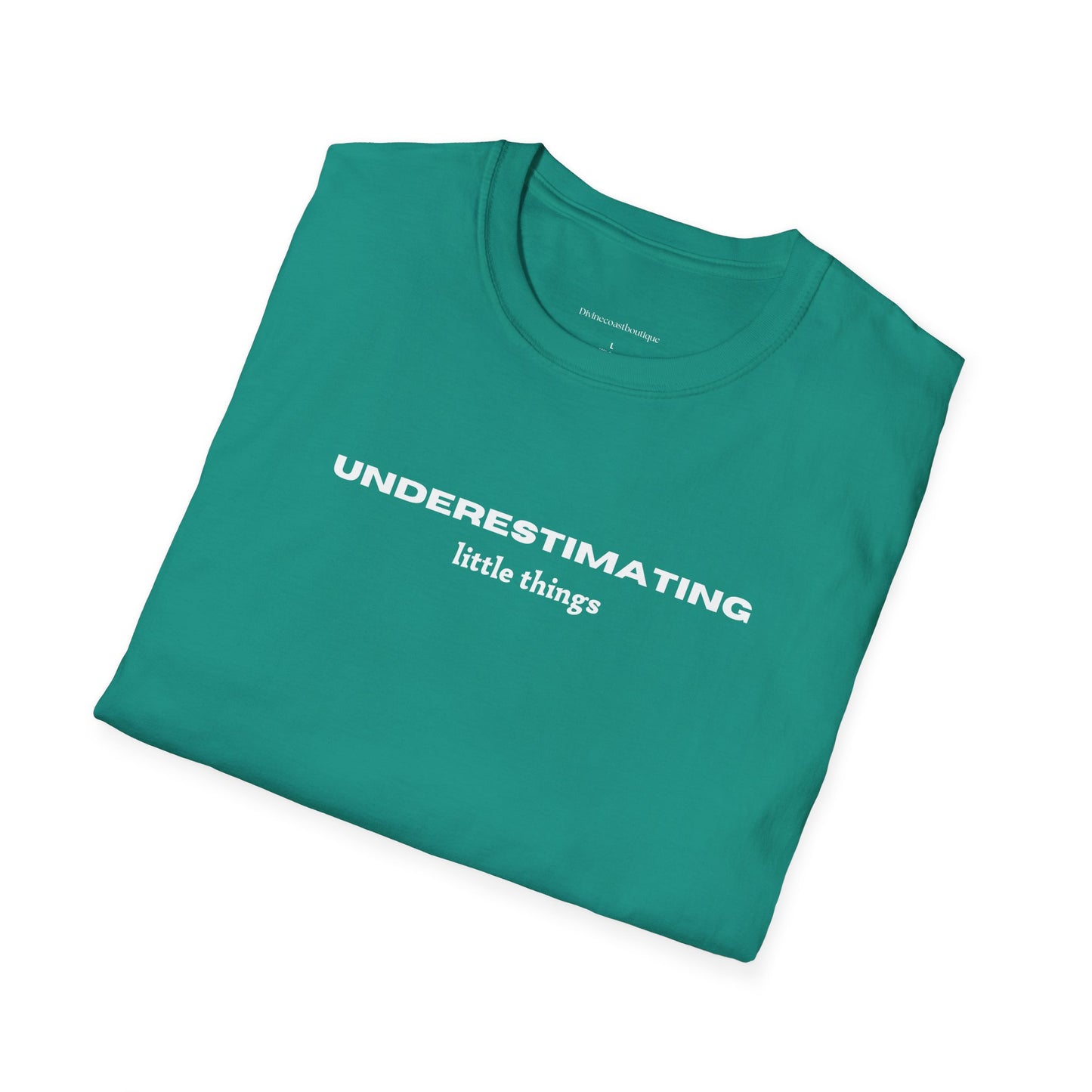 Underestimating Little Things Tshirt