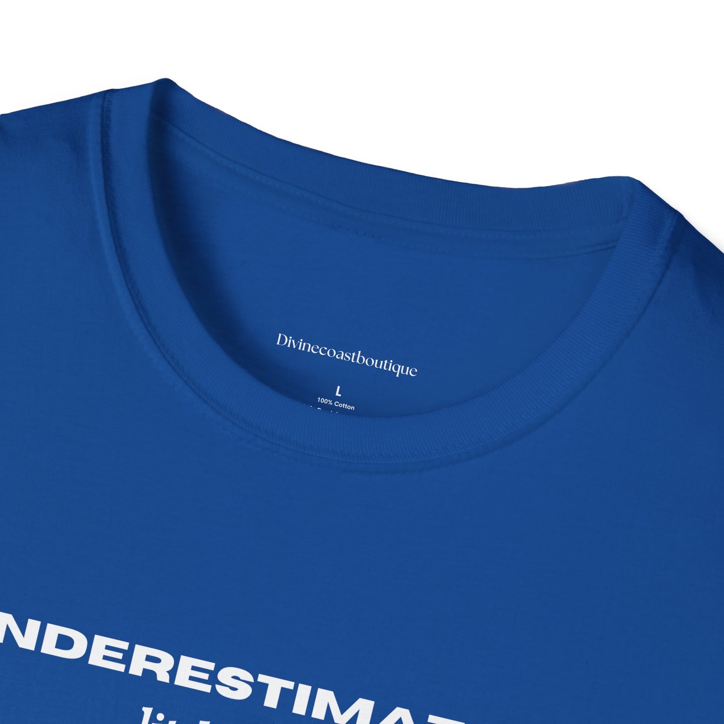 Underestimating Little Things Tshirt