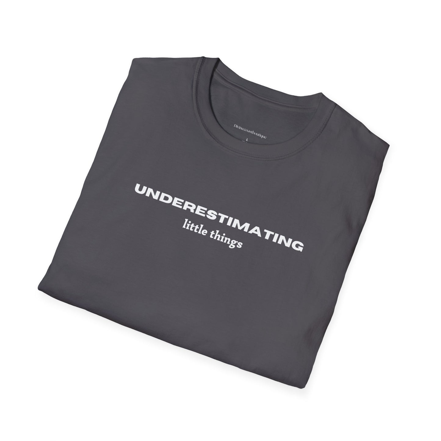 Underestimating Little Things Tshirt