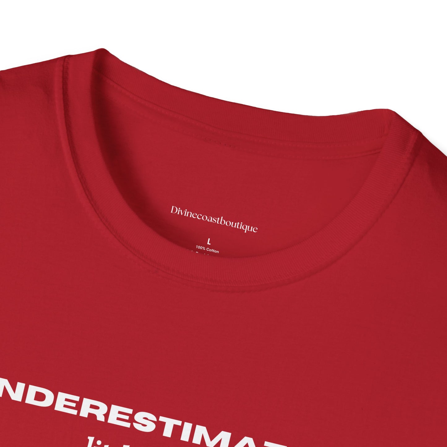 Underestimating Little Things Tshirt