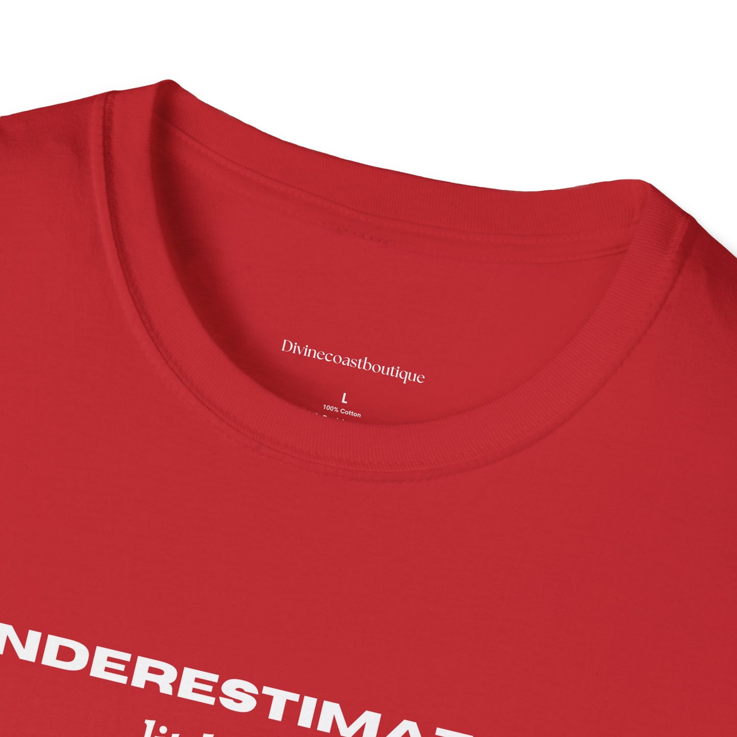 Underestimating Little Things Tshirt