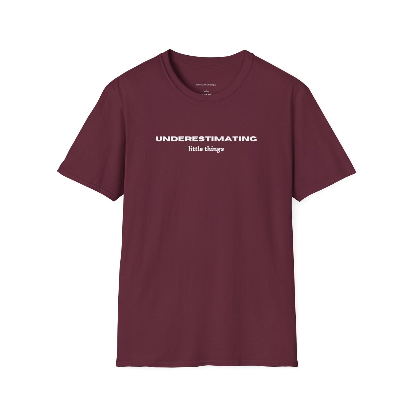 Underestimating Little Things Tshirt