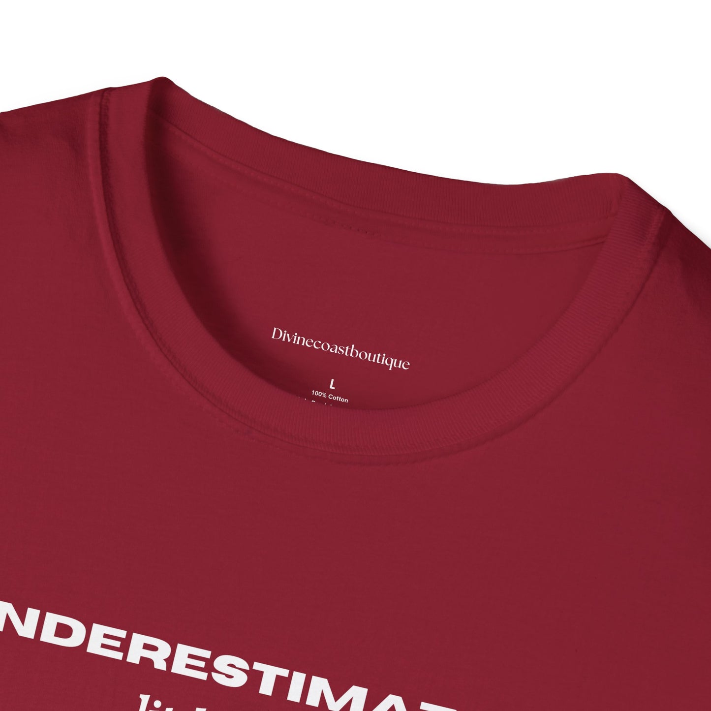 Underestimating Little Things Tshirt