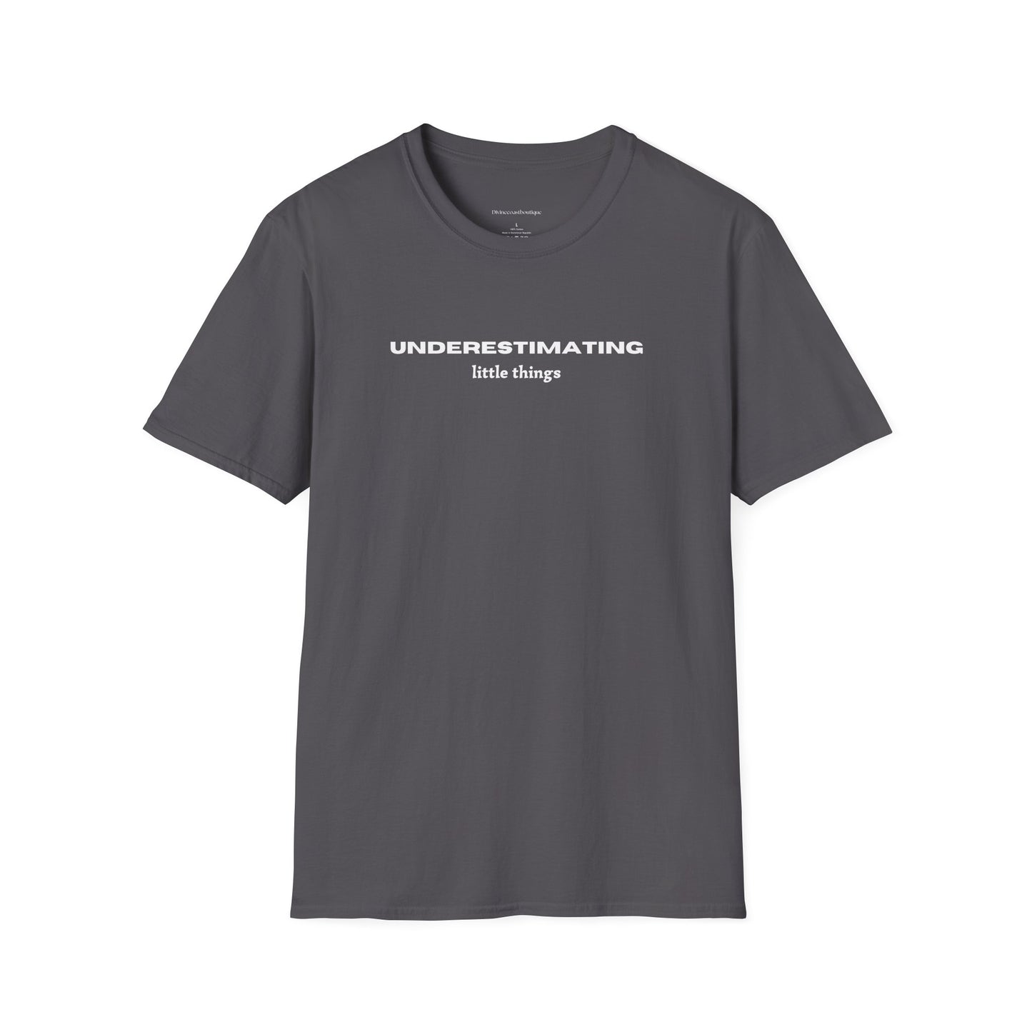 Underestimating Little Things Tshirt