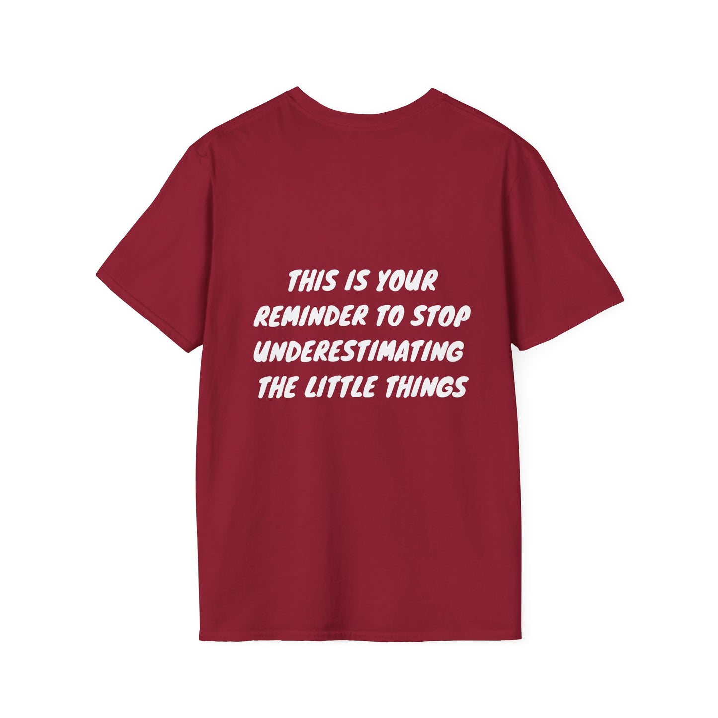 Underestimating Little Things Tshirt