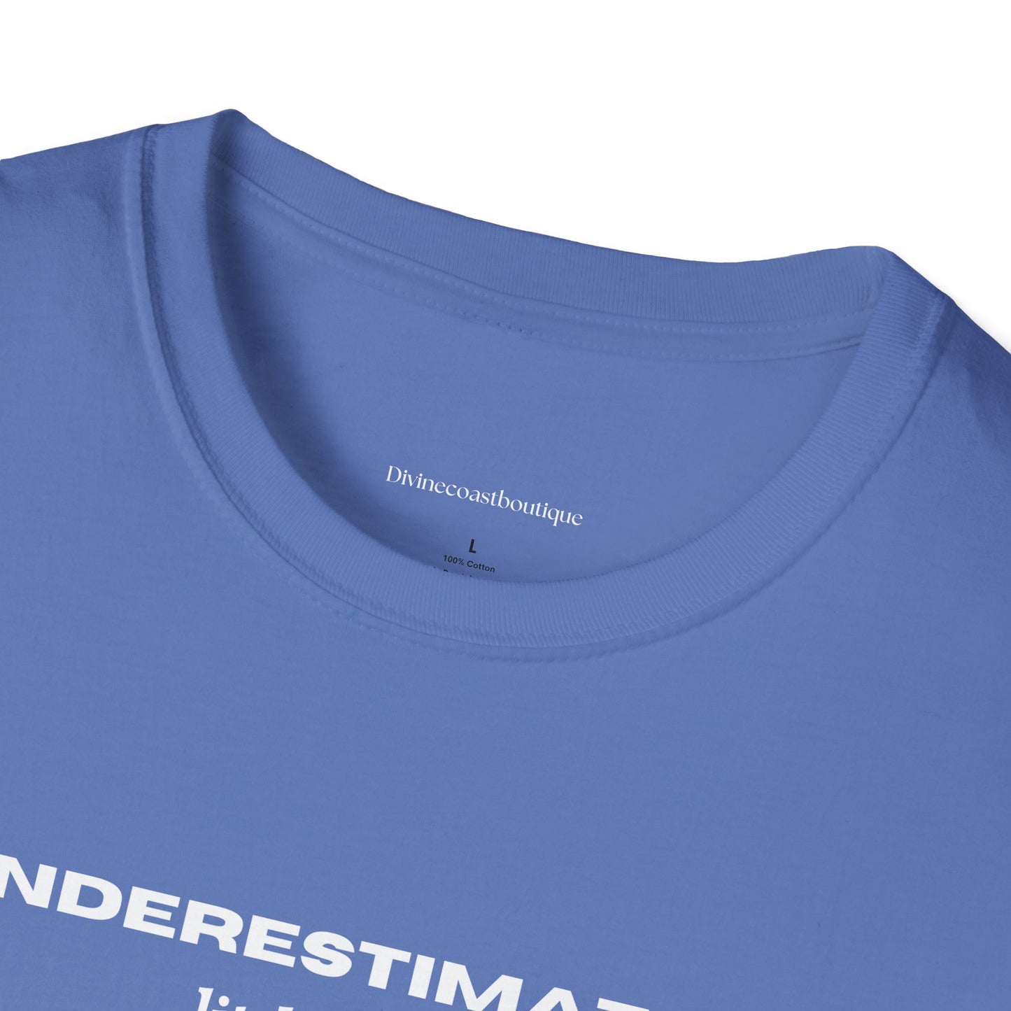 Underestimating Little Things Tshirt
